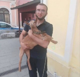 Москвич арестован за прогулку с козой на Красной площади