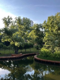 Благоустройство парка в Бибирево: новые дорожки и освещение