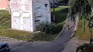 В Подмосковье американские булли покусали пятилетнего ребенка