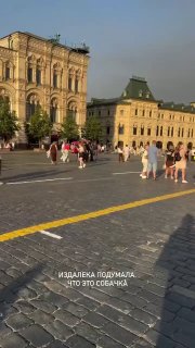 Необычная Прогулка: Житель Москвы С Козой На Красной Площади
