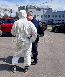 Ужас в Митино: Яд в Подвале Жилого Дома Угрожает Жителям