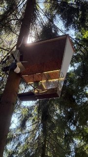 В Бутово появилась новая кормушка для белок в парке