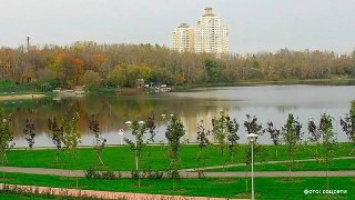 Тело мужчины с побоями найдено в пруду Царицыно в Москве