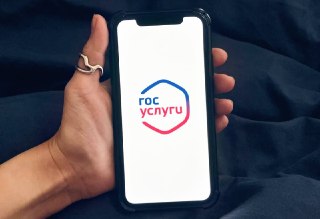 Госуслуги: новое лицо соцсети с сообществами до 2035 года