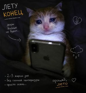 Окончание летней жары: Россия готовится к прохладной осени