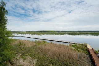 В Лосином Острове открыта уникальная орнитологическая тропа на воде